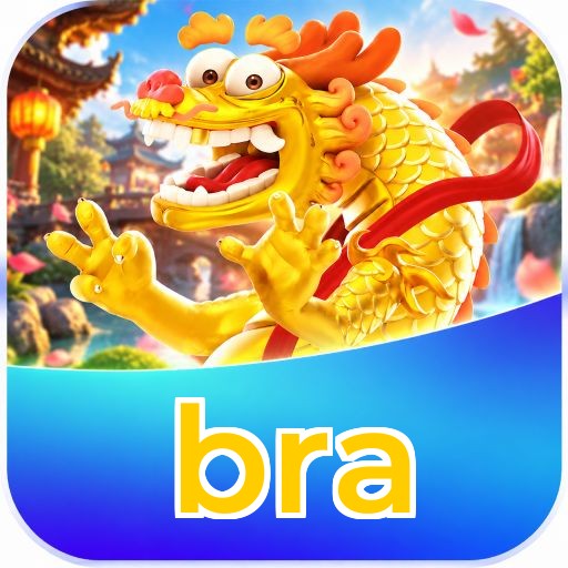bra Erros de Login
