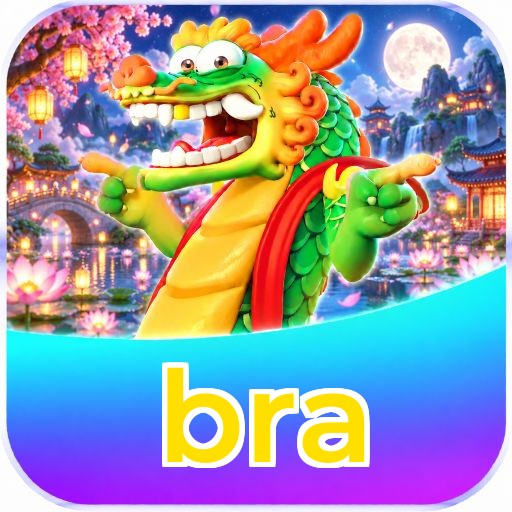 bra Facebook Support